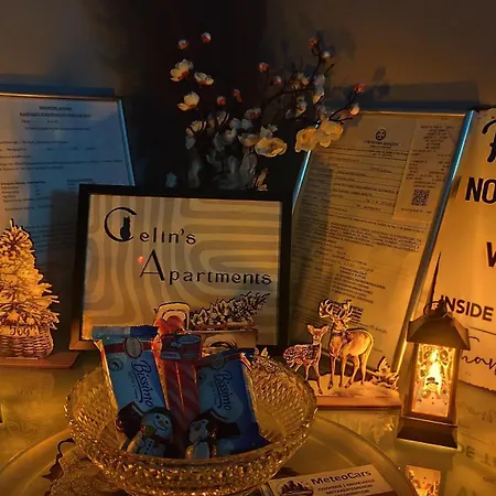 公寓 Celin's 特里卡拉