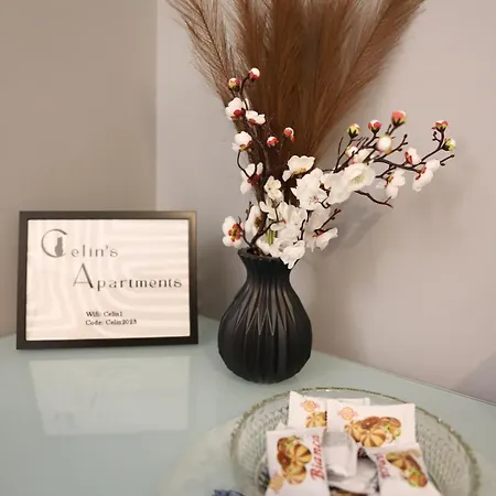 דירה Celin's טריקלה